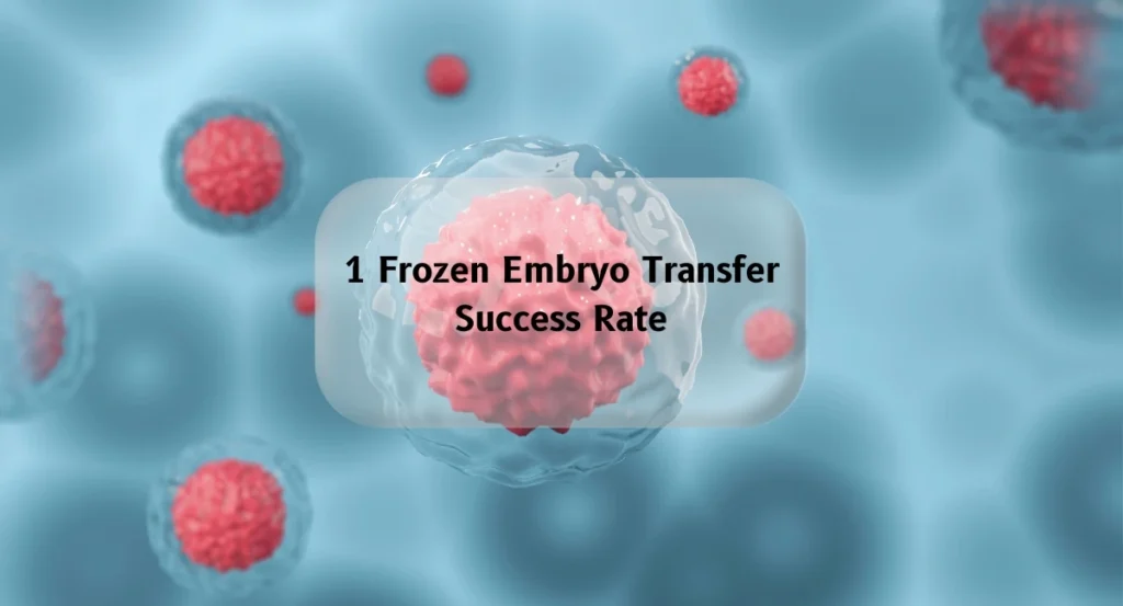 1 frozen embryo transfer success rates